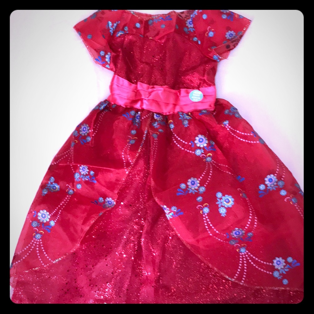 Disney Elenor of Avalor Costume.